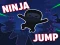 Ninja jump — δωρεάν online παιχνίδι