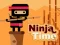 Ninja Time — δωρεάν online παιχνίδι