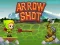 Arrow Shoot — δωρεάν online παιχνίδι