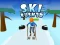 Ski Rush 3d — δωρεάν online παιχνίδι