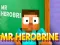Mr Herobrine — δωρεάν online παιχνίδι