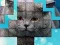 PicPu Cat — δωρεάν online παιχνίδι