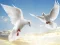Flying Birds — δωρεάν online παιχνίδι