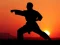 Karate Sunset Warriors — δωρεάν online παιχνίδι