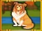 Bernese Mountain Dog Escape — δωρεάν online παιχνίδι