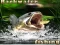 Backwater Fishing — δωρεάν online παιχνίδι