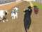 Angry Bull Racing — δωρεάν online παιχνίδι