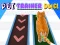 Pet Trainer Duel — δωρεάν online παιχνίδι