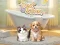 Pet Salon — δωρεάν online παιχνίδι