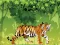 Angry Tiger Coloring — δωρεάν online παιχνίδι