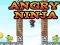 Angry Ninja — δωρεάν online παιχνίδι