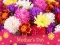 2019 Mother's Day Puzzle — δωρεάν online παιχνίδι
