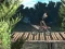Bike Trial Xtreme Forest — δωρεάν online παιχνίδι