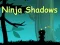 Ninja Shadows — δωρεάν online παιχνίδι