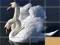 Animals Slide Puzzle — δωρεάν online παιχνίδι