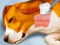 Dog Hospital — δωρεάν online παιχνίδι