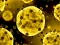 Coronavirus Slide — δωρεάν online παιχνίδι