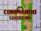 Commando Shooting — δωρεάν online παιχνίδι