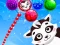 Raccoon Rescue — δωρεάν online παιχνίδι