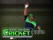 Cricket Fielder Challenge — δωρεάν online παιχνίδι