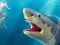 Shark Hunting — δωρεάν online παιχνίδι