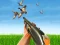 Bird Hunting — δωρεάν online παιχνίδι