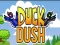 Duck Dash — δωρεάν online παιχνίδι
