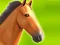 Horse Run 3D — δωρεάν online παιχνίδι