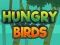 Hungry Birds — δωρεάν online παιχνίδι