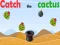 Catch The Cactus — δωρεάν online παιχνίδι