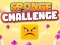Sponge Challenge — δωρεάν online παιχνίδι