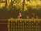 The Lost Forest — δωρεάν online παιχνίδι