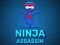 Ninja Assassin — δωρεάν online παιχνίδι