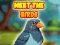 Meet The Birds — δωρεάν online παιχνίδι