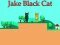 Jake Black Cat — δωρεάν online παιχνίδι