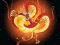 Chinese Dragons Coloring — δωρεάν online παιχνίδι