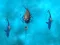 Avoid the Sharks — δωρεάν online παιχνίδι