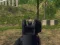 Army Shooter — δωρεάν online παιχνίδι