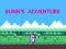 Bunn's Adventure — δωρεάν online παιχνίδι
