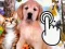 Pets Clicker — δωρεάν online παιχνίδι