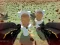 Shooting Survival Skibidi Toilet — δωρεάν online παιχνίδι