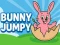 Bunny Jumpy — δωρεάν online παιχνίδι