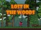 Lost in the Woods — δωρεάν online παιχνίδι