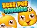 Best Pet Friends — δωρεάν online παιχνίδι