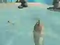 Shark Simulator Beach Killer — δωρεάν online παιχνίδι