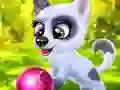 Happy Dog — δωρεάν online παιχνίδι