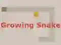 Growing Snake — δωρεάν online παιχνίδι