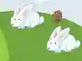 Crazy Eggs — δωρεάν online παιχνίδι