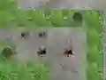Spider Tower Defence — δωρεάν online παιχνίδι