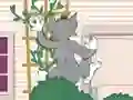 Tom und Jerry: Wasserbomben Wahnsinn — δωρεάν online παιχνίδι